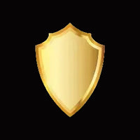 PAGO SEGURO